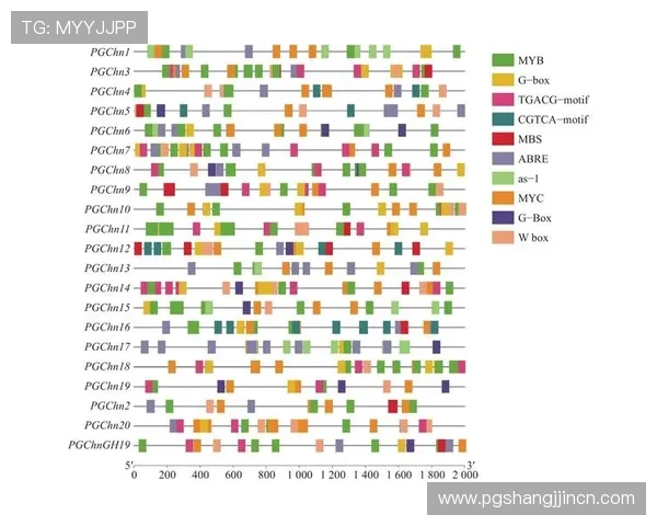 全面解析PG电子滚球的规则与玩法，提升你的游戏体验与盈利能力