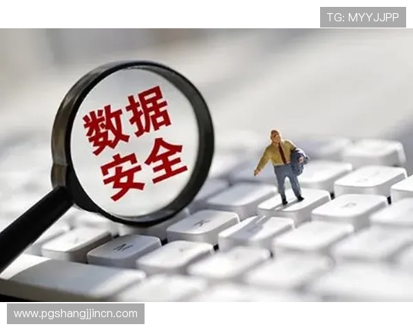 PG博彩平台安全性分析及防范措施确保玩家资金与个人信息安全